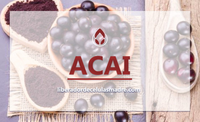 Acai