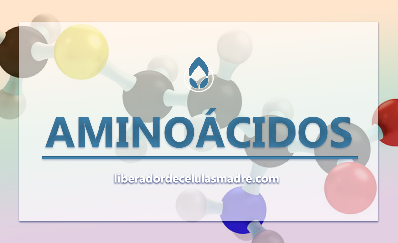 Aminoácidos