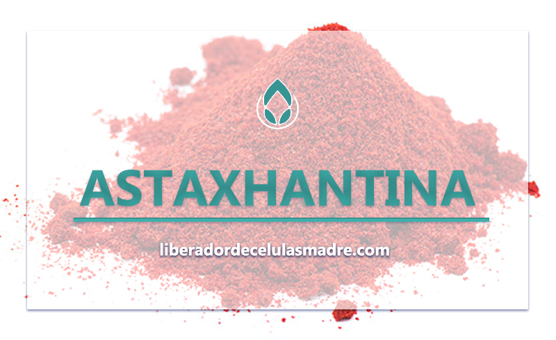 Astaxhantina