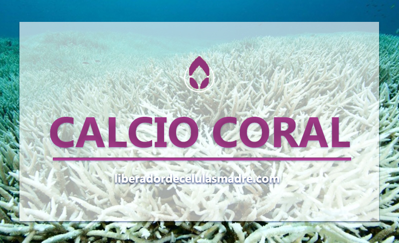 Calcio Coral