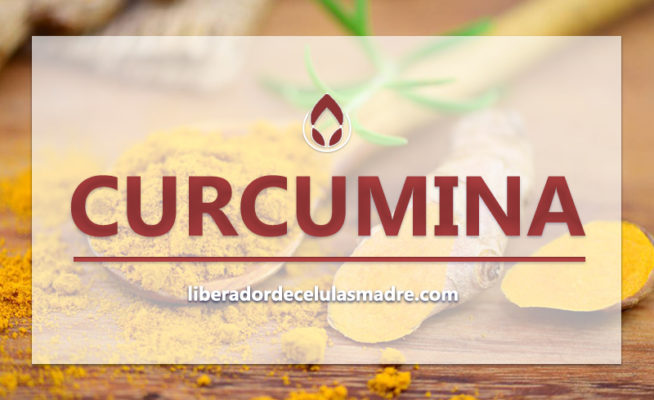 Curcumina