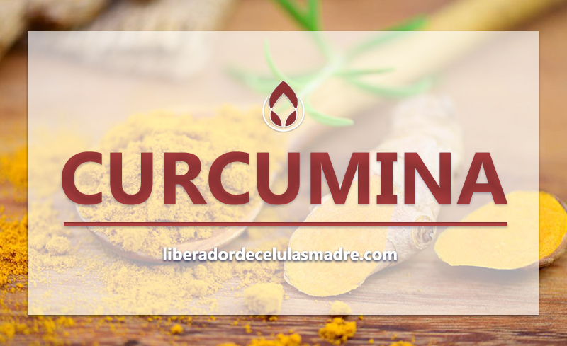 Curcumina