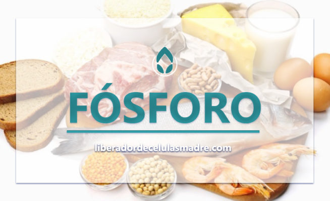 Fósforo