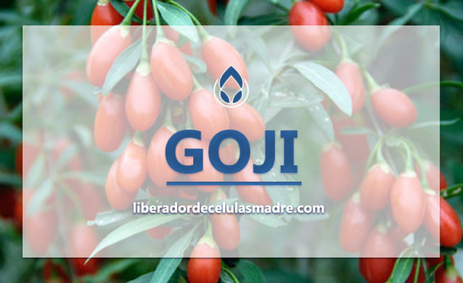 Goji