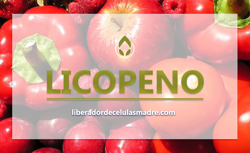 Licopeno