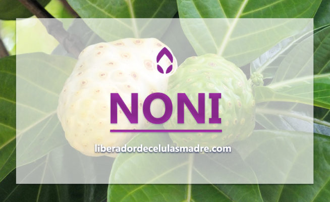 Noni