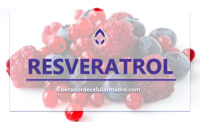 Resveratrol