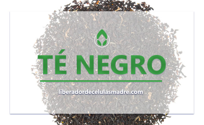 Té Negro