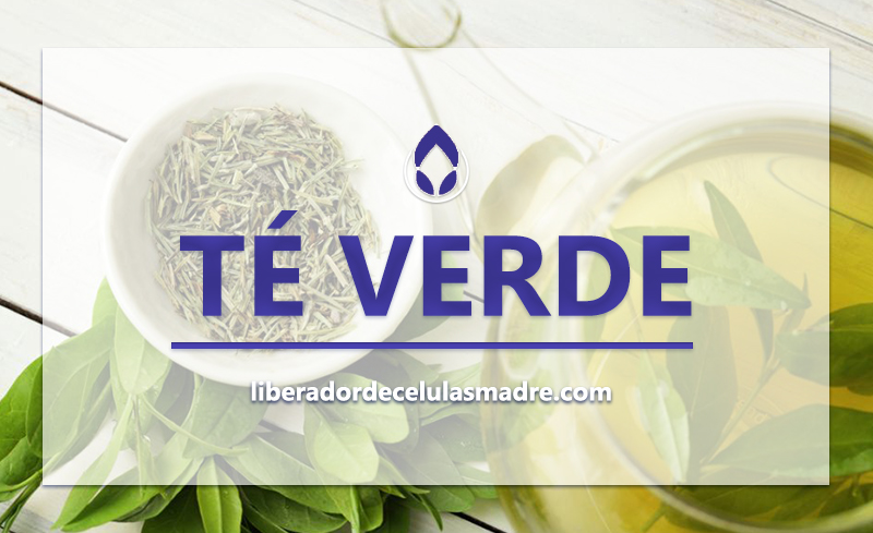 Té Verde