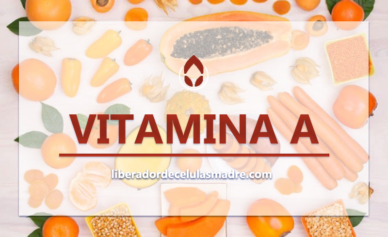 Vitamina A