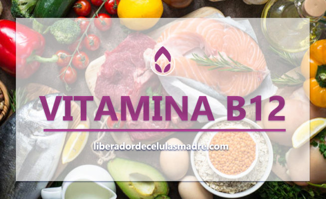 Vitamina B12