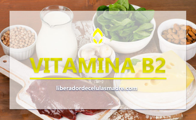 Vitamina B2