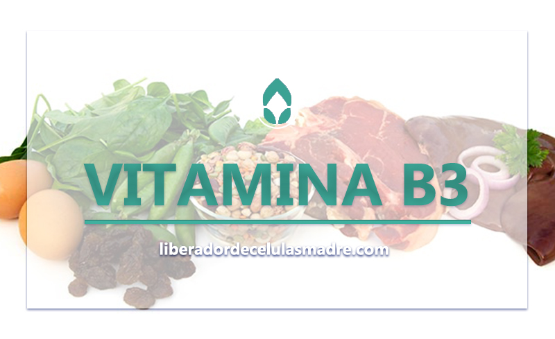 Vitamina B3