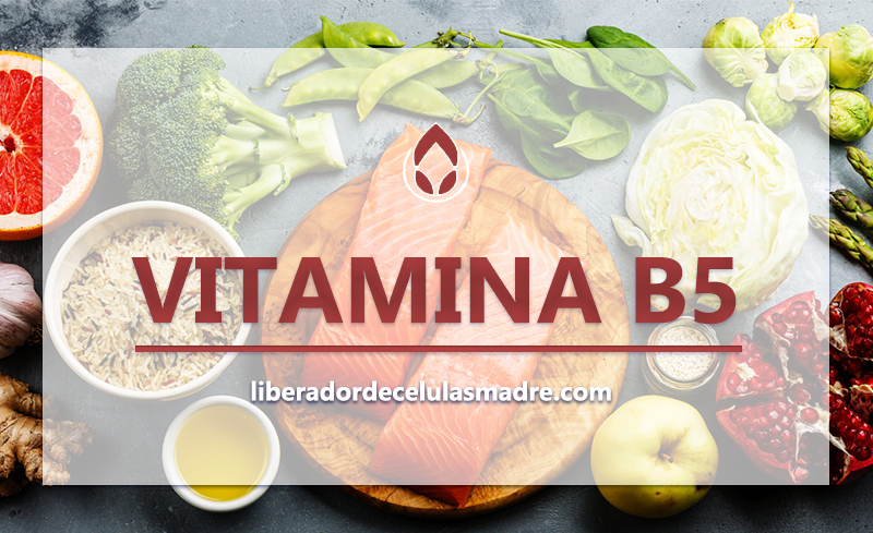 Vitamina B5