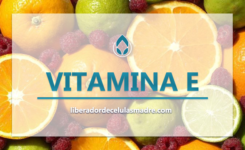 Vitamina E