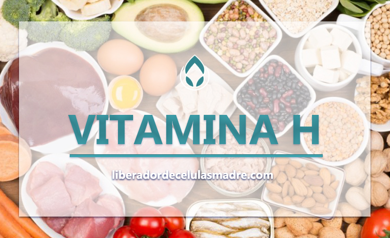 Vitamina H