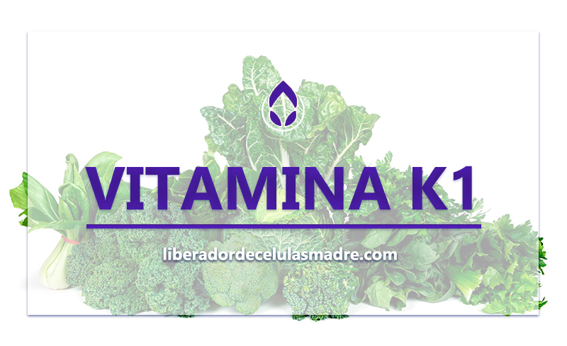 Vitamina K1